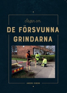 Sagan om de försvunna grindarna (e-bok) av Ande