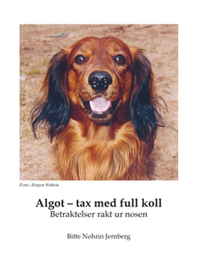 Algot - tax med full koll (e-bok) av Bitte Jern