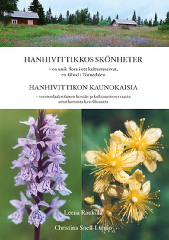 Hanhivittikkos skönheter