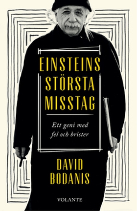 Einsteins största misstag (e-bok) av David Boda