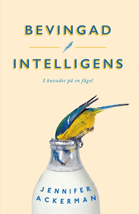 Bevingad intelligens (e-bok) av Jennifer Ackerm