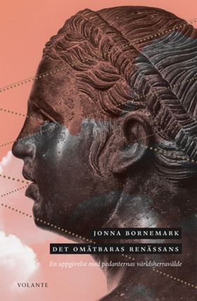 Det omätbaras renässans (e-bok) av Jonna Bornem
