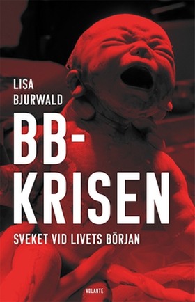 BB-krisen (e-bok) av Lisa Bjurwald