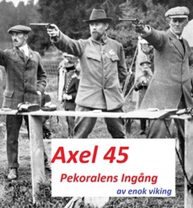 Axel 45 (e-bok) av enok viking