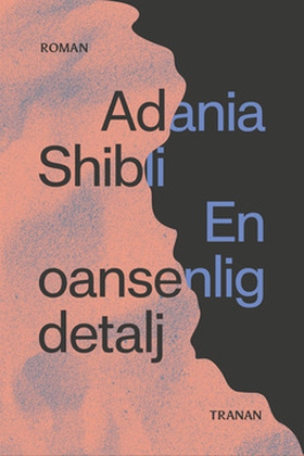 En oansenlig detalj (e-bok) av Adania Shibli