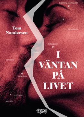 I väntan på livet (e-bok) av Tom Nandersen