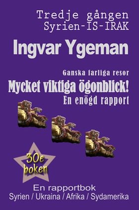 Mycket viktiga ögonblick (e-bok) av Ingvar Ygem