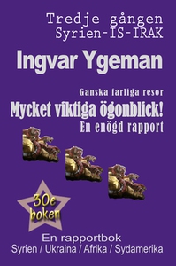 Mycket viktiga ögonblick (e-bok) av Ingvar Ygem