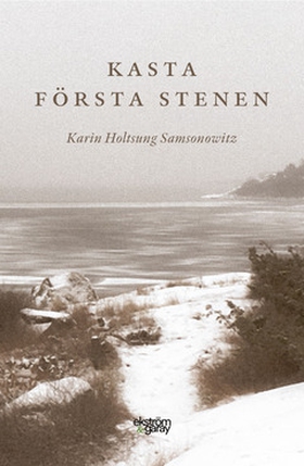 Kasta första stenen (e-bok) av Karin Holtsung S