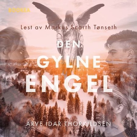 Den gylne engel (lydbok) av Arve Idar Thorkildsen
