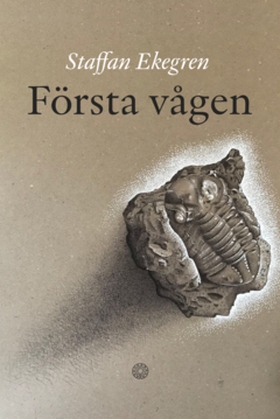 Första vågen (e-bok) av Staffan Ekegren