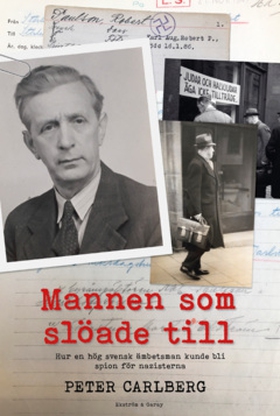 Mannen som slöade till (e-bok) av Peter Carlber