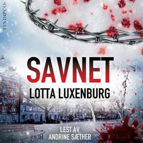 Savnet (lydbok) av Lotta Luxenburg