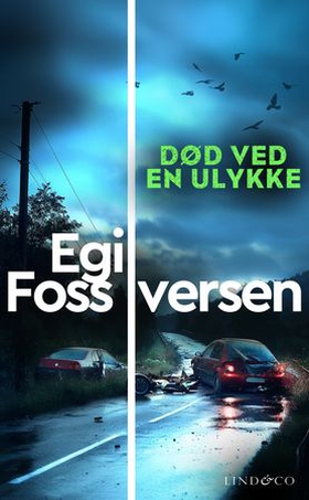 Død ved en ulykke