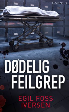 Dødelig feilgrep