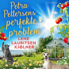 Petra Pettersens perfekte problem (lydbok) av Lene Lauritsen Kjølner