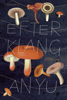 Efterklang (e-bok) av An Yu