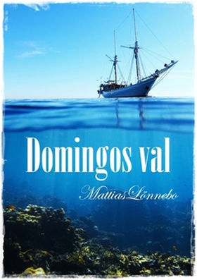 Domingos val (e-bok) av Mattias Lönnebo