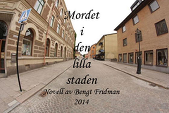 Mordet i den lilla staden (e-bok) av  Fridman Bengt