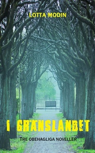 I gränslandet (e-bok) av Lotta Modin
