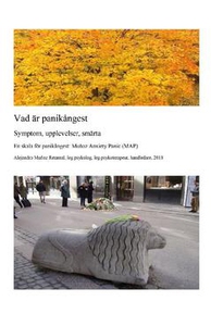 Vad är panikångest, symptom, upplevelser, smärt