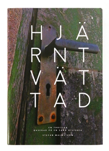 Hjärntvättad (e-bok) av Stefan Malmström