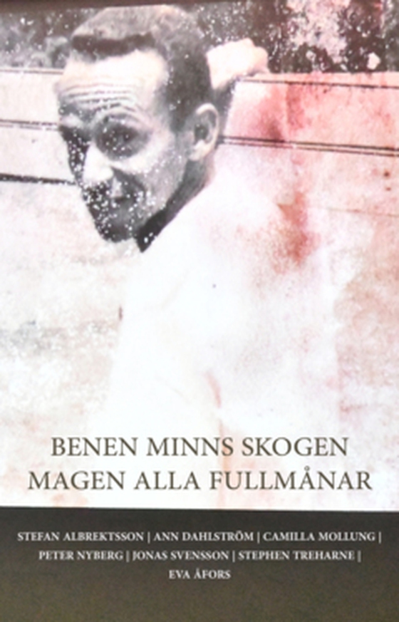 Benen Minns Skogen Magen Alla Fullmånar