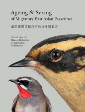 Ageing & Sexing of Migratory East Asian Passeri