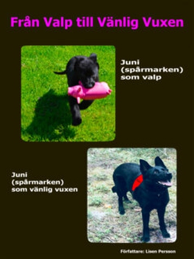 Från Valp till Vänlig Vuxen (e-bok) av Lisen Pe