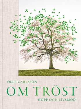 Om tröst, hopp och livsmod (e-bok) av Olle Carl