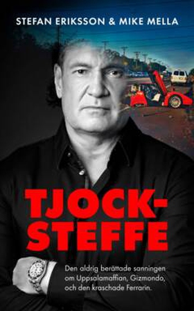 TJOCK-STEFFE (e-bok) av Stefan  Eriksson, Mike 