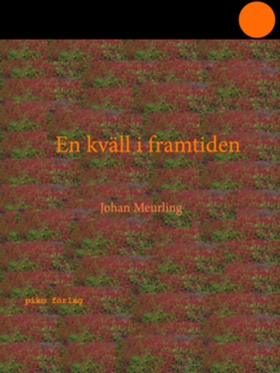 En kväll i framtiden (e-bok) av Johan Meurling