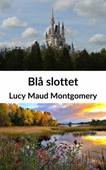 Blå slottet