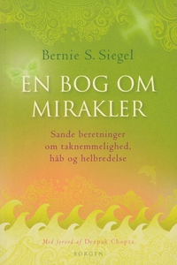 En bog om mirakler (e-bog) af Bernie
