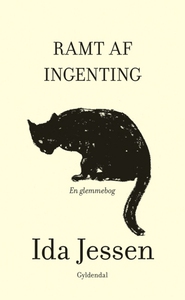 Ramt af ingenting (lydbog) af Ida Jes