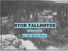 Stor fallhøyde - Kriminalnovelle (lydbok) av Jan Boris Stene