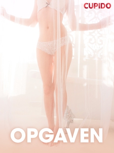 Opgaven – erotiske noveller (ebok) av Cupido