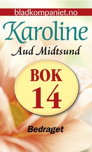 Bedraget (ebok) av Aud Midtsund