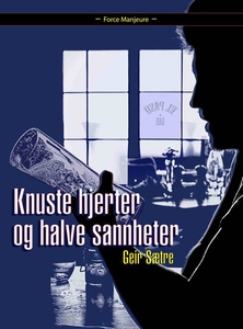 Knuste hjerter og halve sannheter (ebok) av G