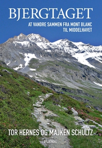 Bjergtaget (lydbog) af Majken Schultz