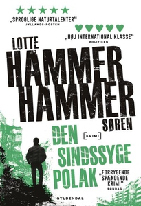 Den sindssyge polak (lydbog) af Lotte