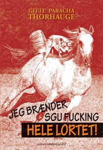 Jeg brænder sgu fucking hele lortet (