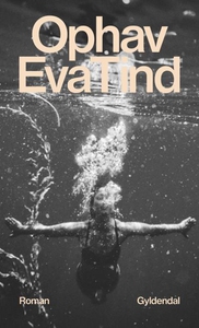 Ophav (lydbog) af Eva Tind