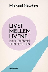 Livet mellem livene (e-bog) af Michae