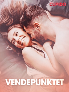 Vendepunktet – erotiske noveller (ebok) av Cu