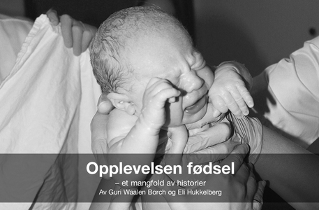 Opplevelsen fødsel – et mangfold av historier