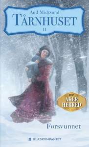 Forsvunnet (ebok) av Aud Midtsund