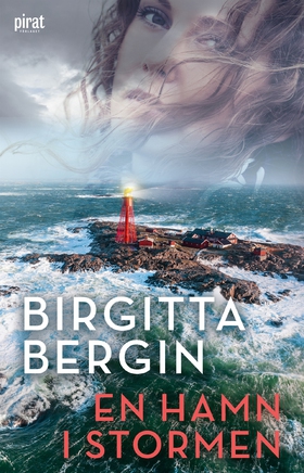 En hamn i stormen (e-bok) av Birgitta  Bergin