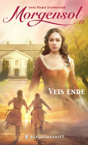Veis ende (ebok) av Anne Marie Stamnestrø