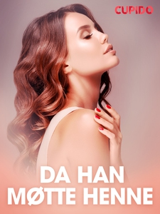 Da han møtte henne – erotiske noveller (ebok)